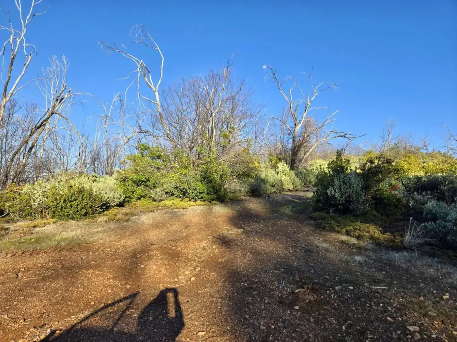 0 Doster Road, Mountain Ranch, CA 95246 - Image #2