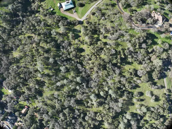 4980 Mourning Dove Lane, Shingle Springs, CA 95682