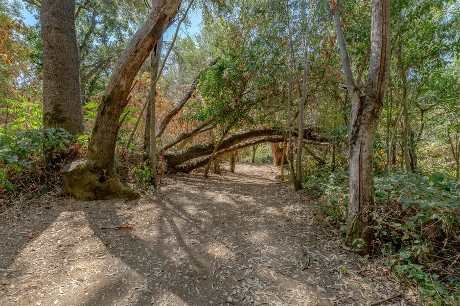 5520 Virginiatown Road, Newcastle, CA 95658 - Image #3