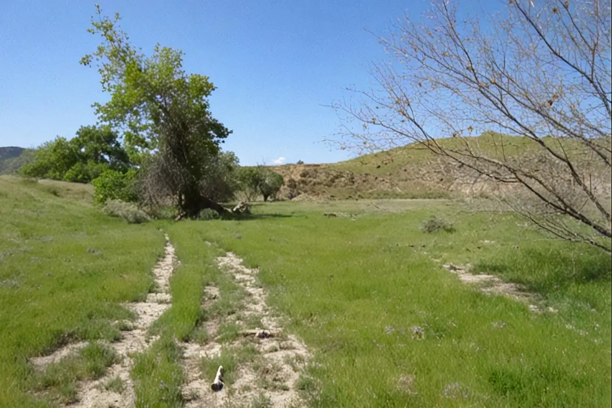 0 Hwy 198, Coalinga, CA 93210 - #1