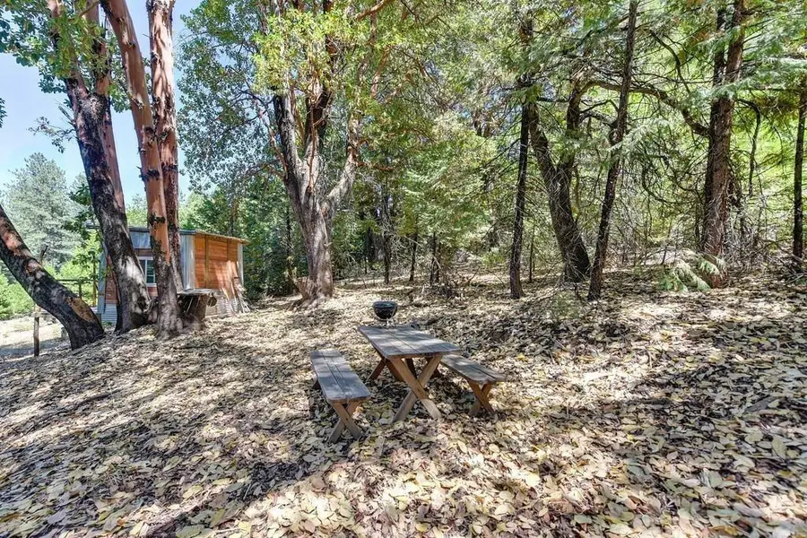 0 18880 Amador Avenue, Pioneer, CA 95666 - Image #3