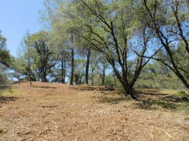 10 Dream Ranch Circle, Placerville, CA 95667 - Image #1