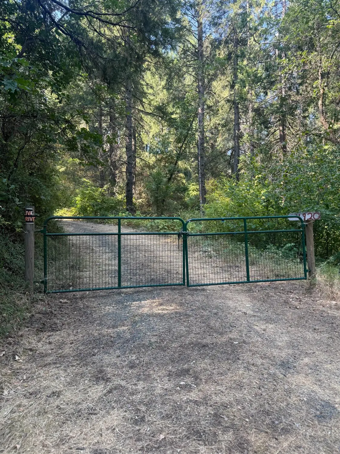 4290 Arctic Lane, Grizzly Flats, CA 95636 - Image #1