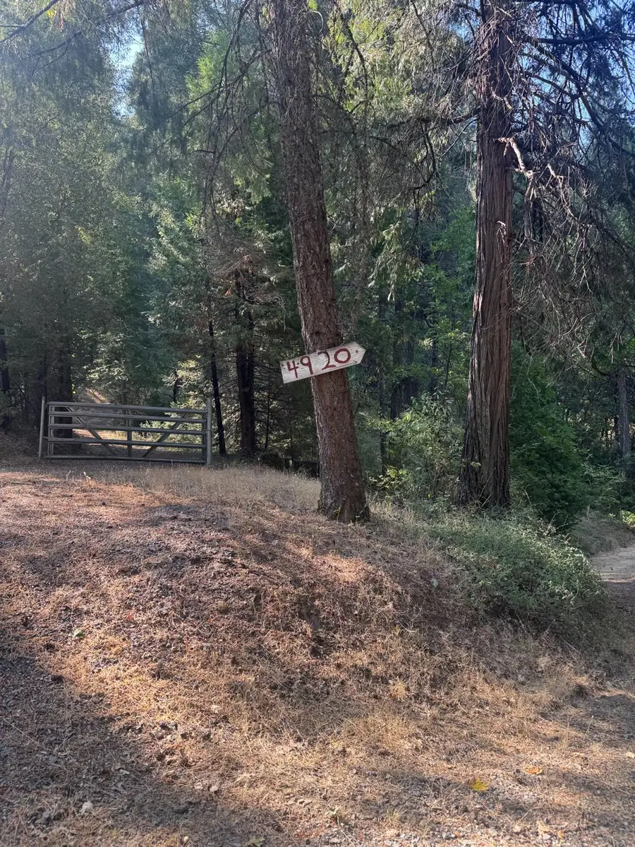 4290 Arctic Lane, Grizzly Flats, CA 95636 - Image #2