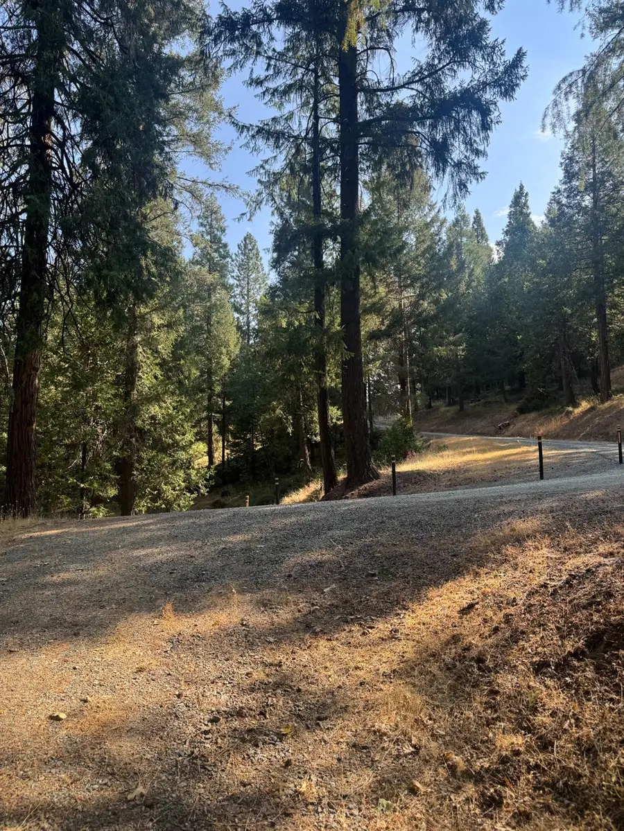 4290 Arctic Lane, Grizzly Flats, CA 95636 - Image #3