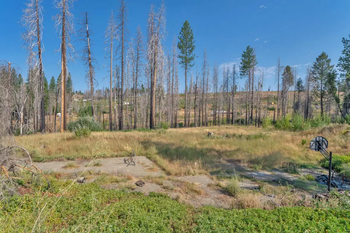 7425 Winding Way, Grizzly Flats, CA 95636 - Image #1