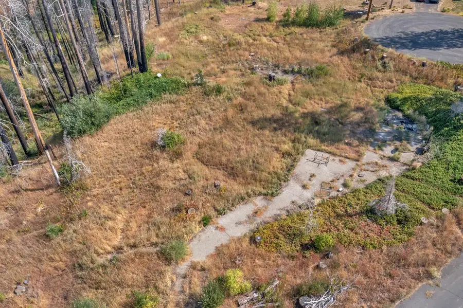 7425 Winding Way, Grizzly Flats, CA 95636 - Image #2