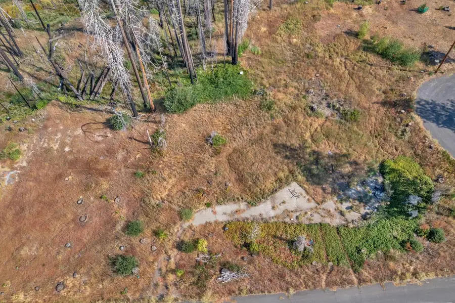 7425 Winding Way, Grizzly Flats, CA 95636 - Image #3