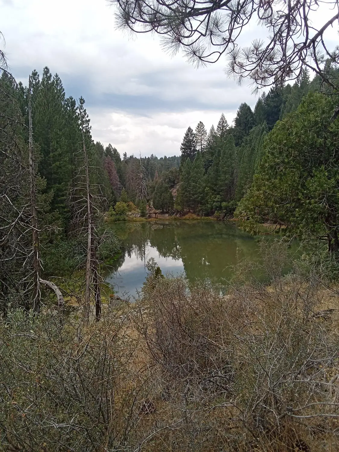 0 Sugar Pine, Foresthill, CA 95631 - Image #1