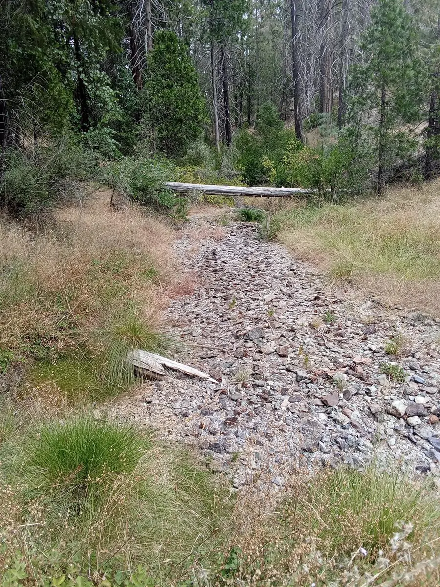 0 Sugar Pine, Foresthill, CA 95631 - Image #2