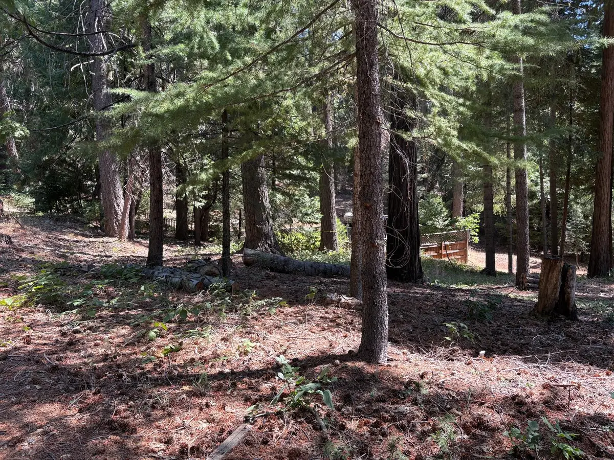 760 Alta Reservoir Road, Alta, CA 95701 - Image #1