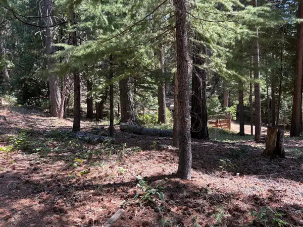 760 Alta Reservoir Road, Alta, CA 95701