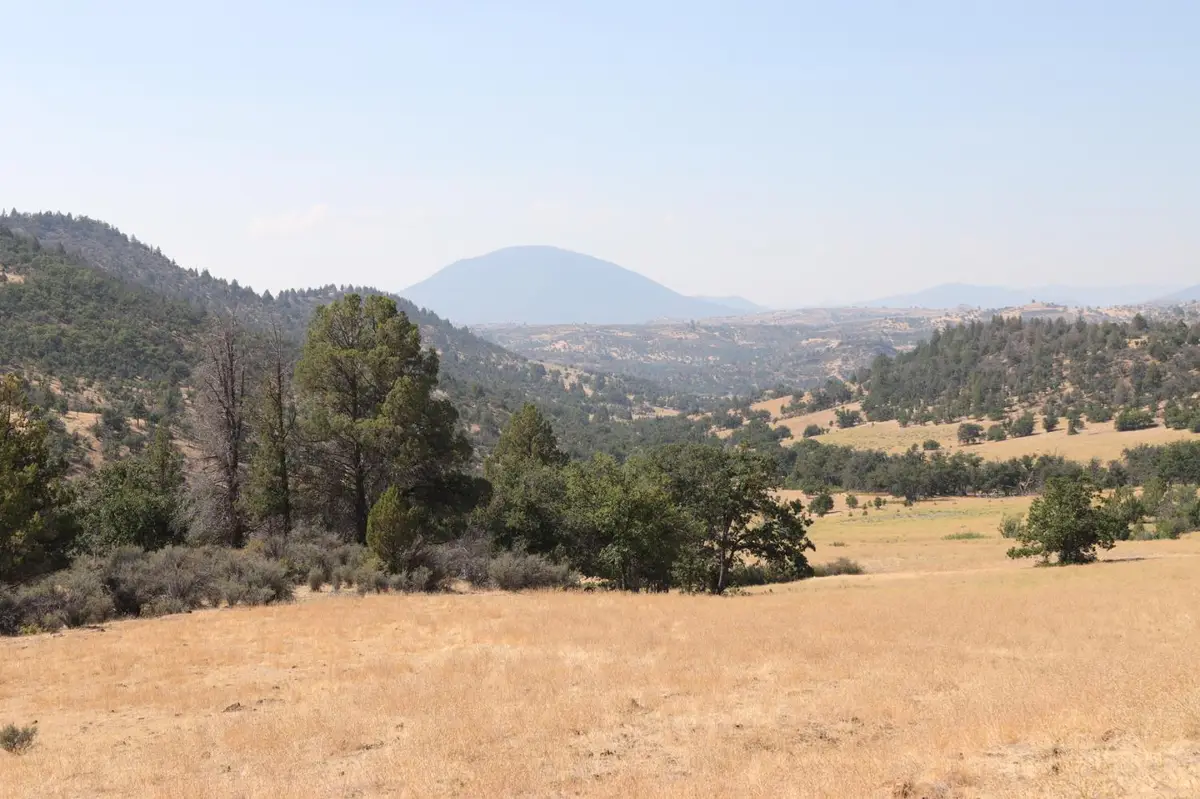 11220 Yellow Dog Trail, Hornbrook, CA 96044 - Image #1