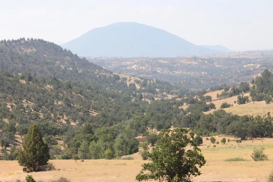 11220 Yellow Dog Trail, Hornbrook, CA 96044 - Image #2