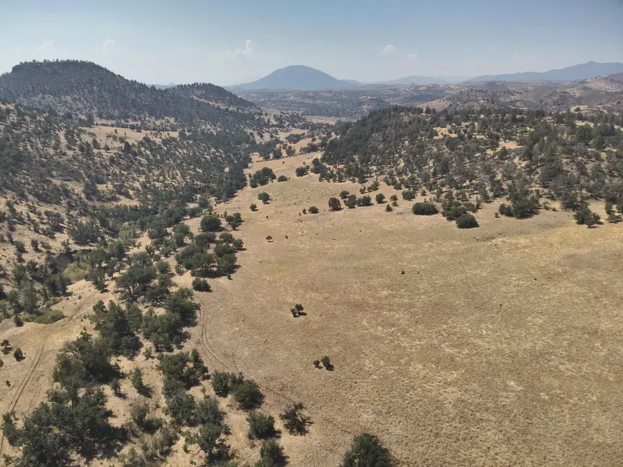 11220 Yellow Dog Trail, Hornbrook, CA 96044 - Image #3