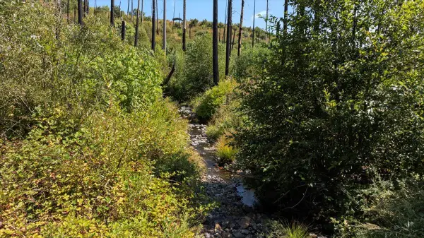 0 Danville Cir, Concow, CA 95965