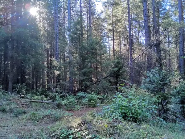 0 001 Big Dipper, Iowa Hill, CA 95713