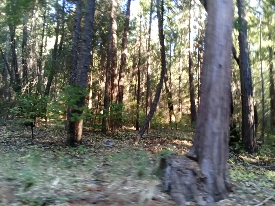 0 001 Big Dipper, Iowa Hill, CA 95713 - Image #2