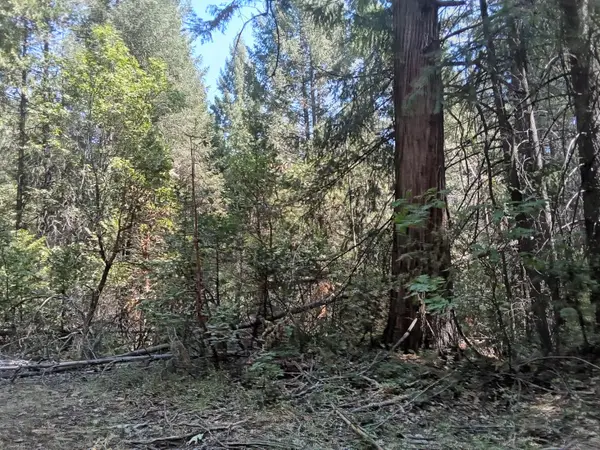 0 1 Just Road, Iowa Hill, CA 95713