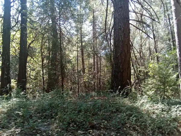 0 2 Just Road, Iowa Hill, CA 95713