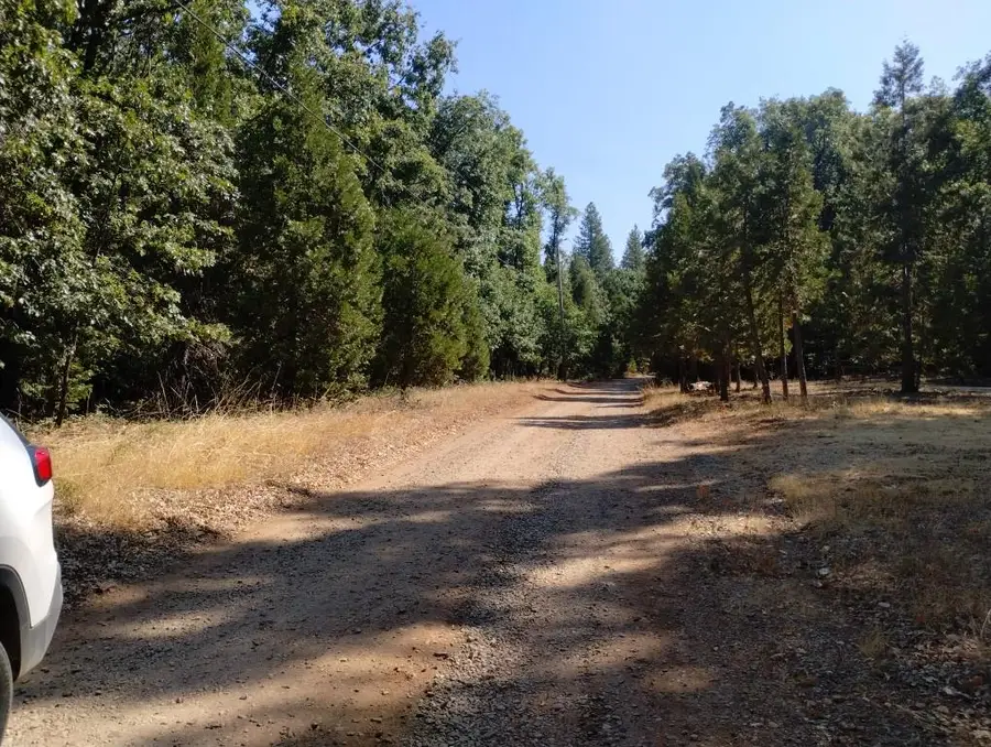 13762 Lightning Tree Road, Nevada City, CA 95959 - Image #2