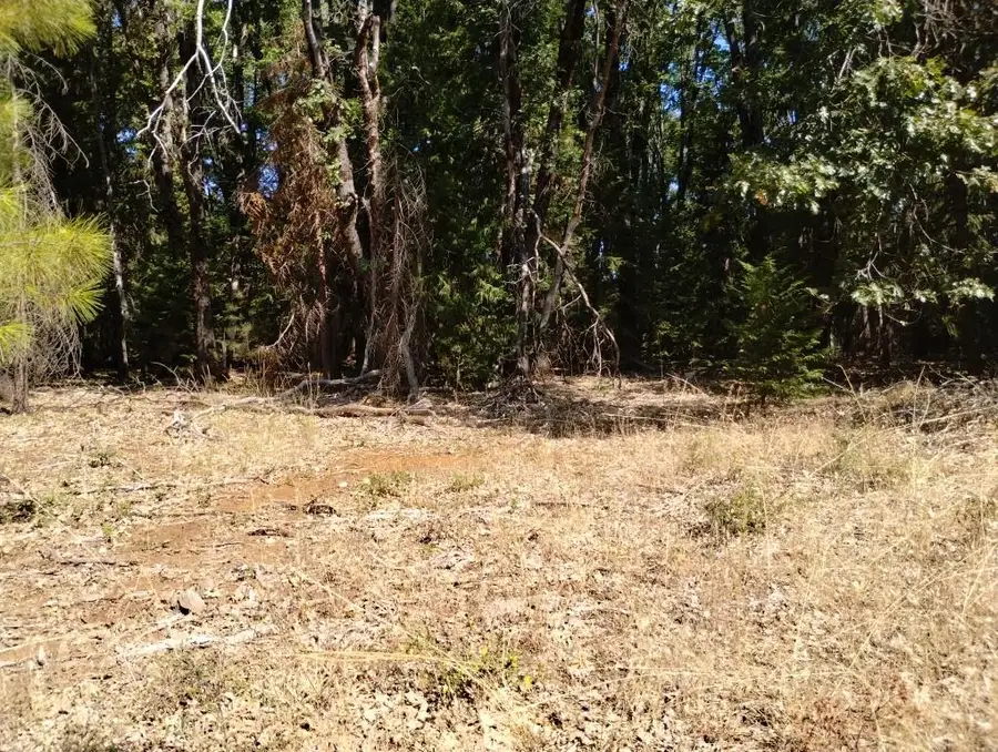 13762 Lightning Tree Road, Nevada City, CA 95959 - Image #3