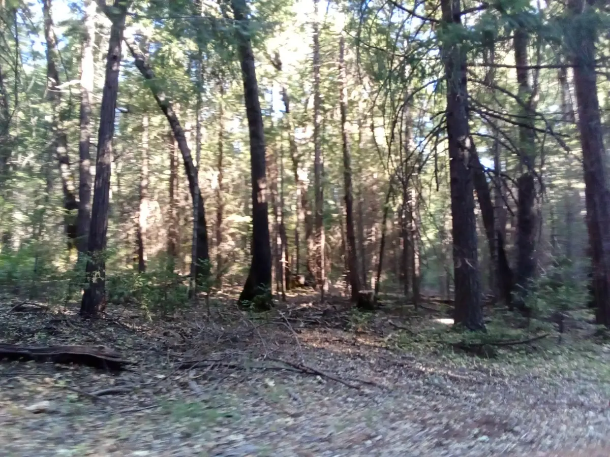 0 3 Just Road, Iowa Hill, CA 95713 - Image #1