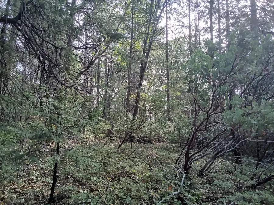 0 3 Just Road, Iowa Hill, CA 95713 - Image #2