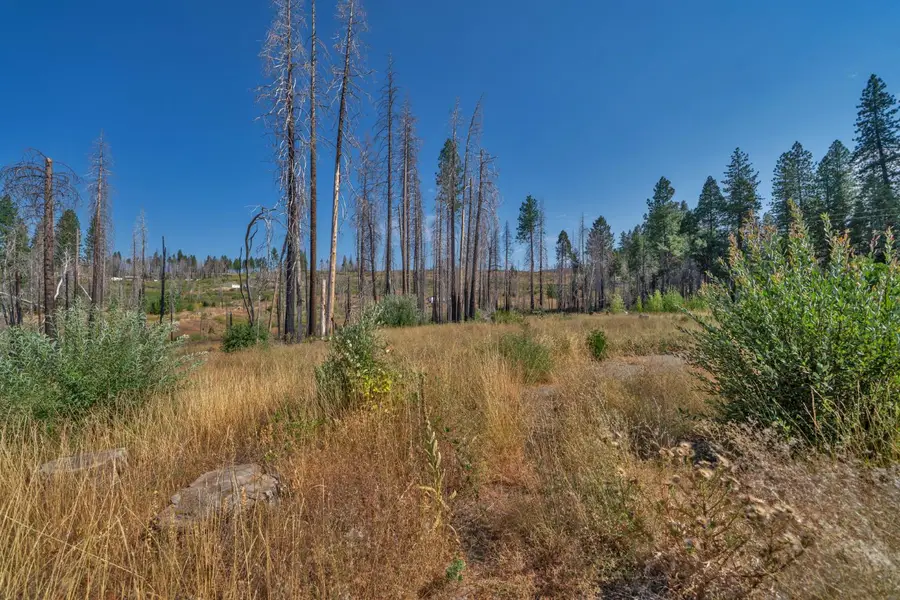 0 Winding Way, Grizzly Flats, CA 95636 - Image #2