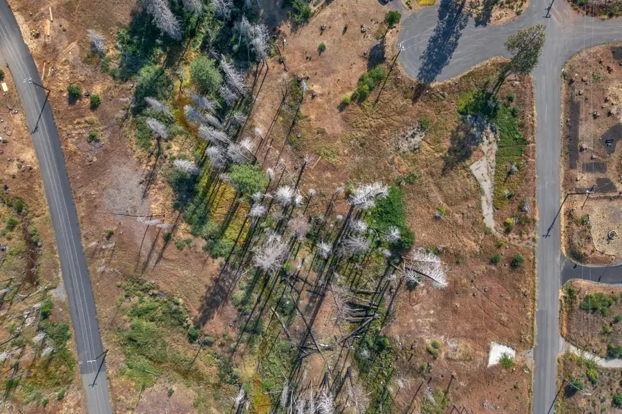 0 Winding Way, Grizzly Flats, CA 95636 - Image #3