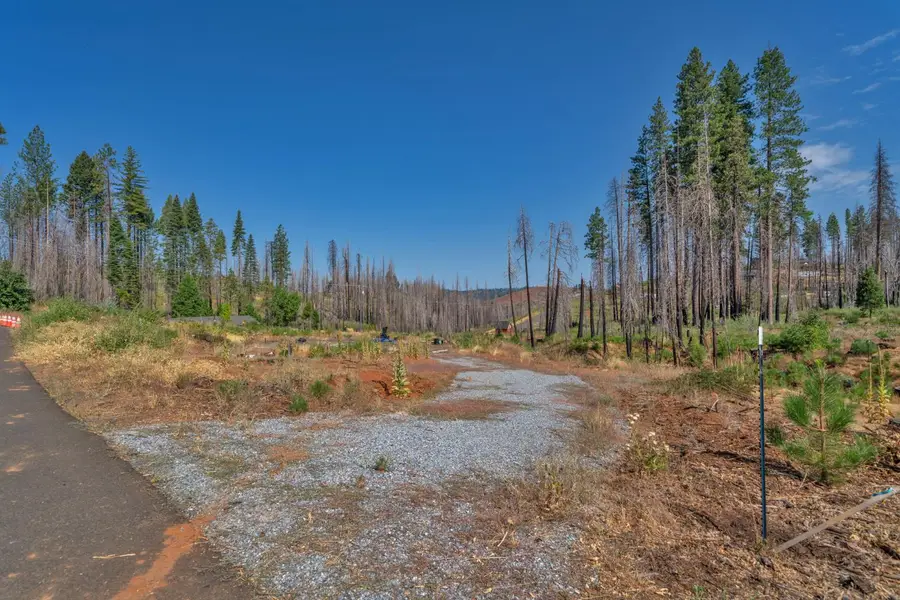 5132 Golden Aspen, Grizzly Flats, CA 95636 - Image #2