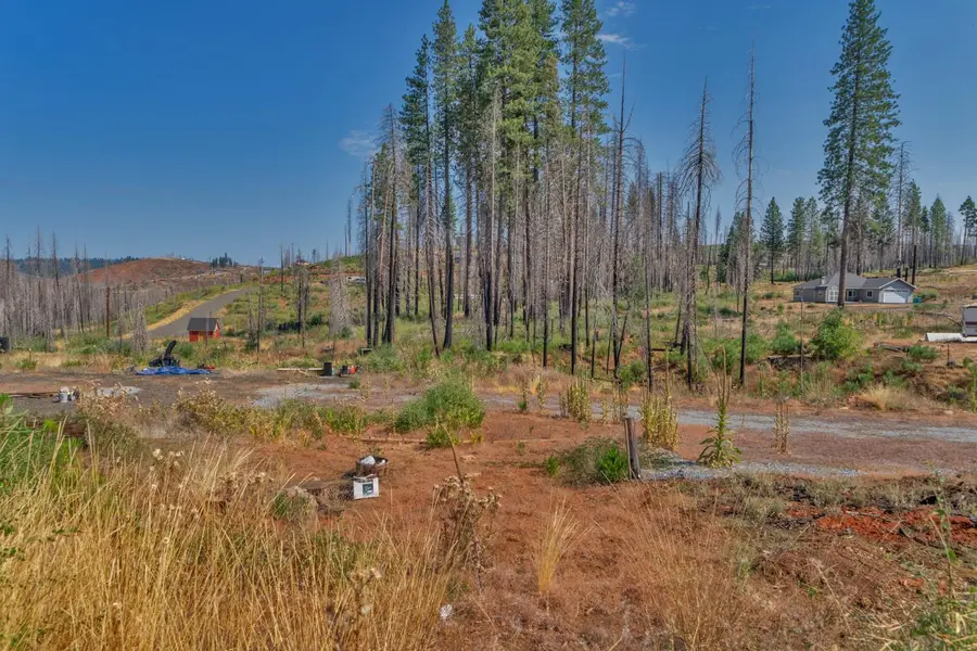 5132 Golden Aspen, Grizzly Flats, CA 95636 - Image #3