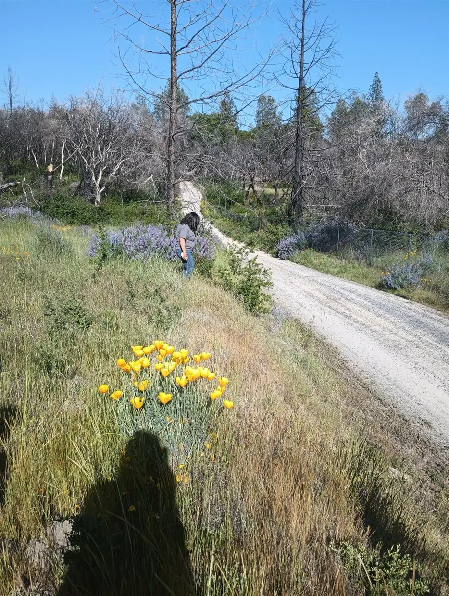 34 Burr Lane, Oroville, CA 95940 - Image #3