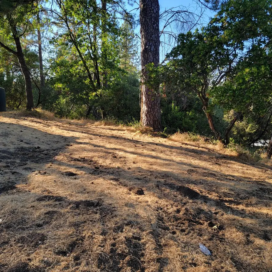 13021 Ridge View Drive, Sutter Creek, CA 95685 - Image #3