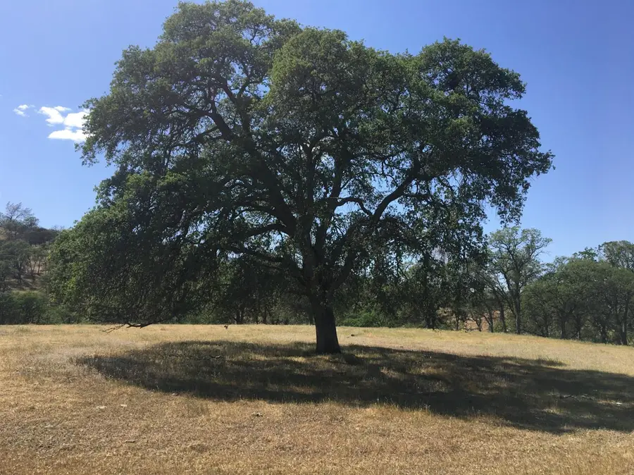 0 County Road 23 Road, Esparto, CA 95627 - #2