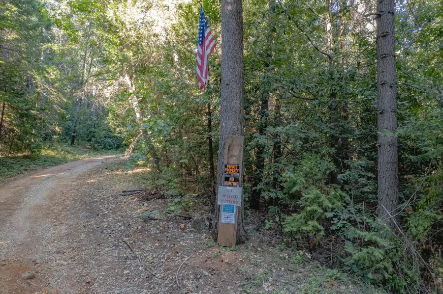 10466 N Slope Trail, Camptonville, CA 95922 - Image #2