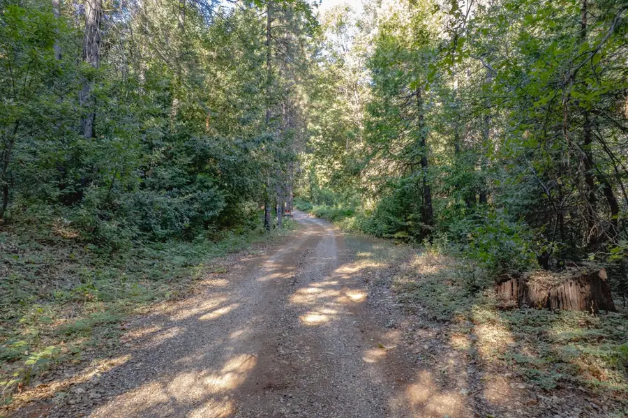10466 N Slope Trail, Camptonville, CA 95922 - Image #3