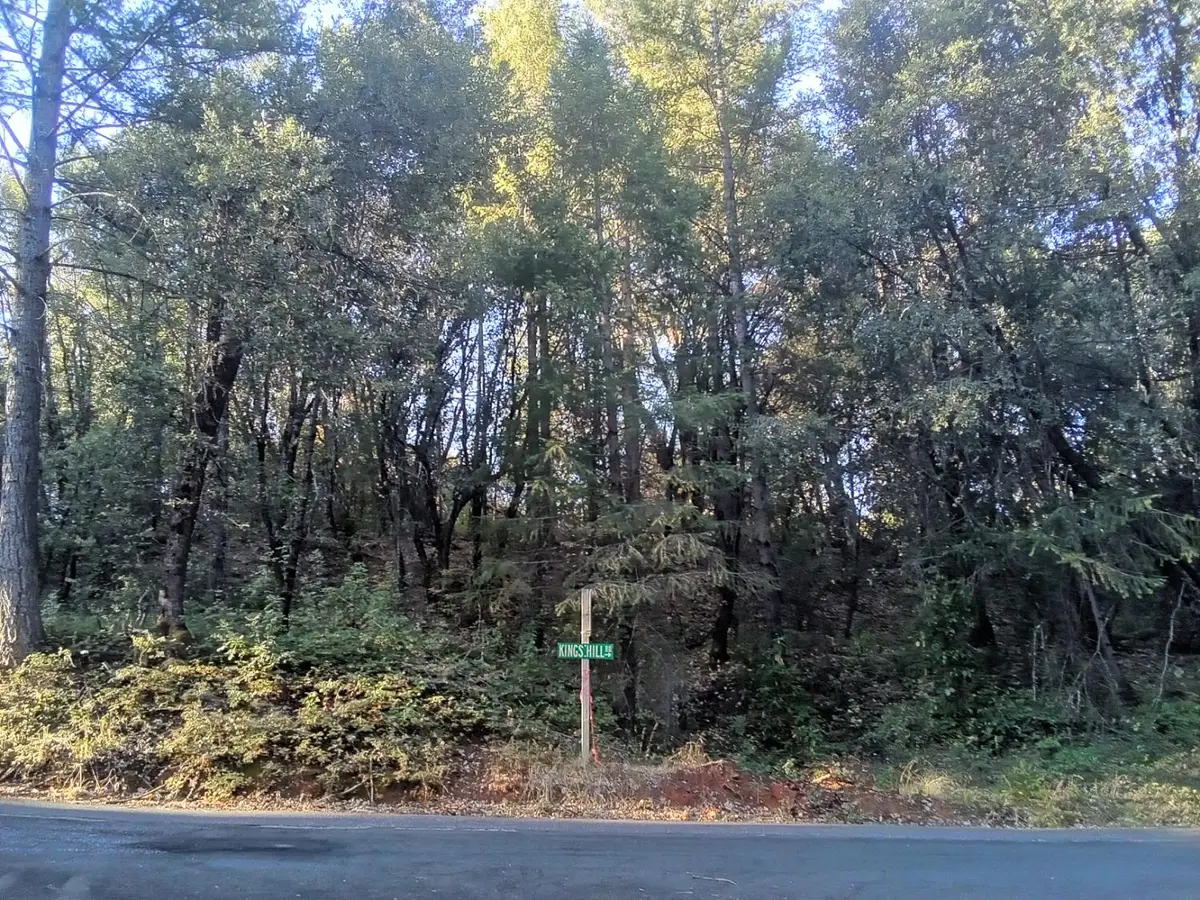 0 4 Big Dipper, Iowa Hill, CA 95713 - Image #1