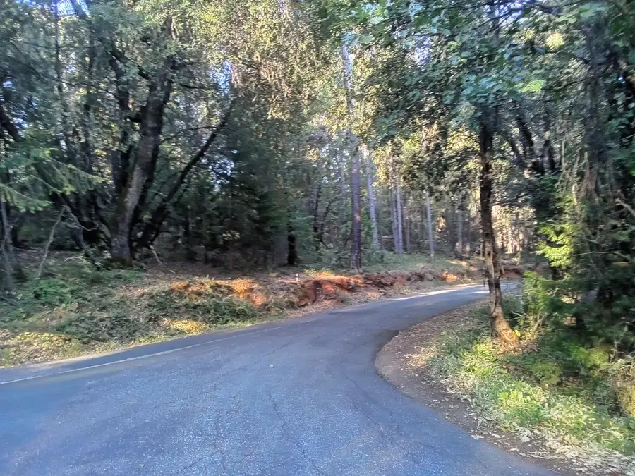 0 4 Big Dipper, Iowa Hill, CA 95713 - Image #2