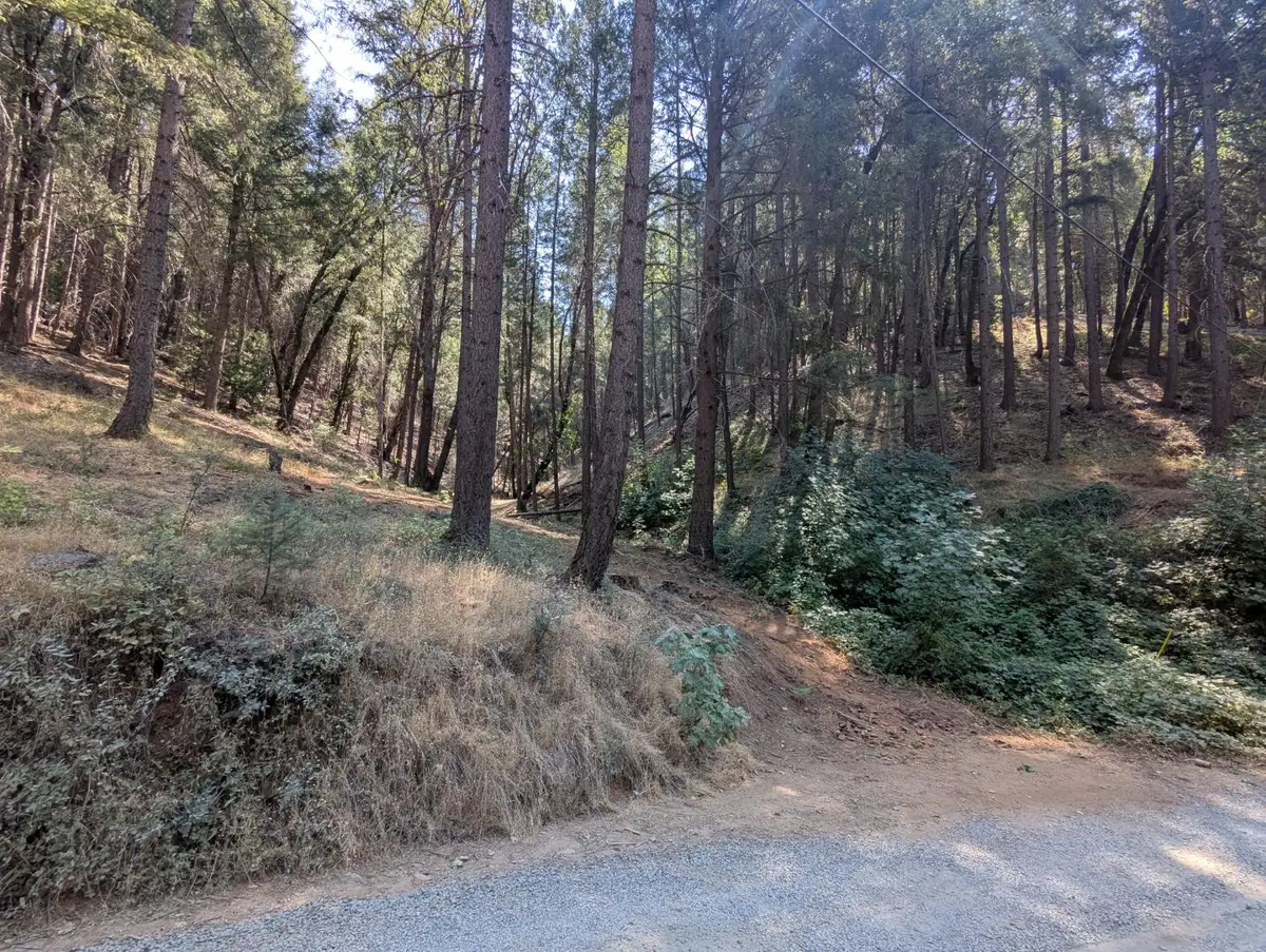 14295 Arrowhead Mine Road, Grass Valley, CA 95945 - Image #1