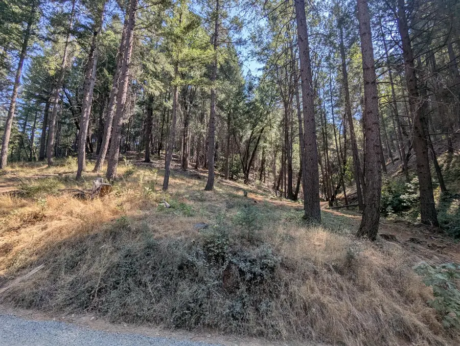 14295 Arrowhead Mine Road, Grass Valley, CA 95945 - Image #2
