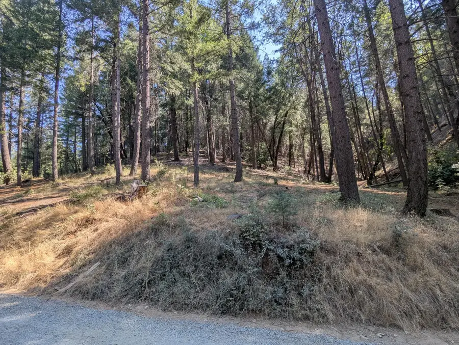 14295 Arrowhead Mine Road, Grass Valley, CA 95945 - Image #3