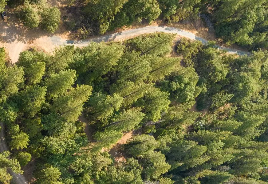 0 40ac Sweeney Road, Somerset, CA 95684 - Image #2