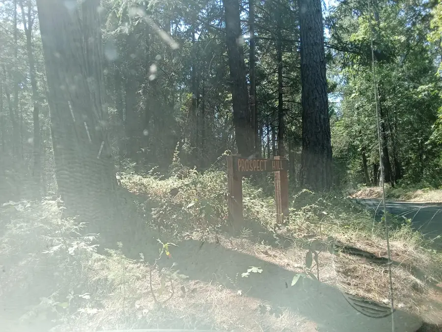 0 5 Big Dipper, Iowa Hill, CA 95713 - Image #3