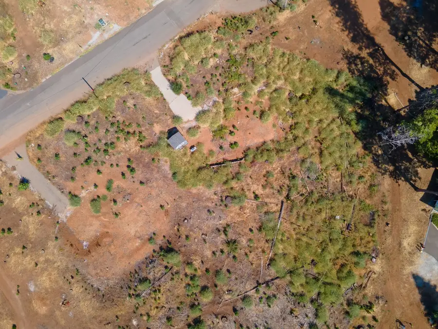 7003 Tyler Drive, Grizzly Flats, CA 95636 - Image #3