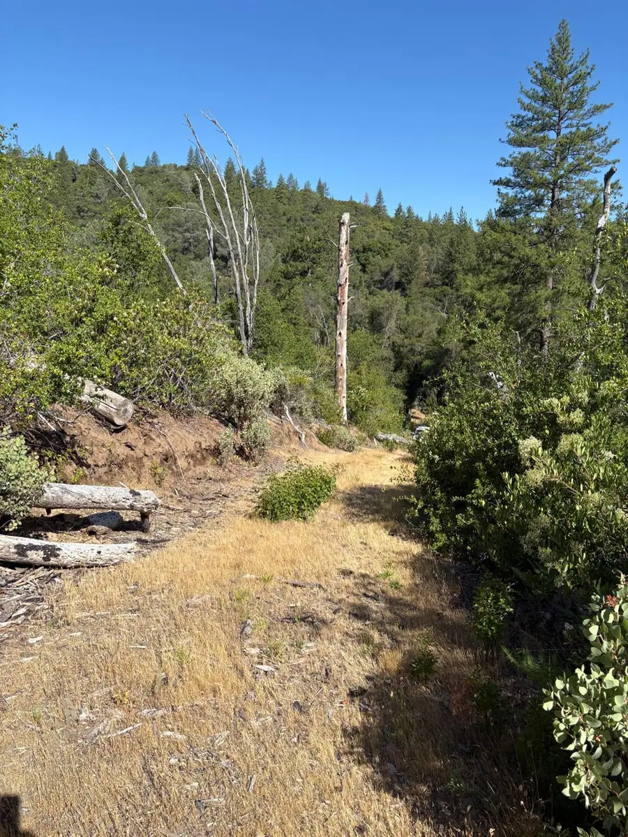 3201 Toyonberry Lane, El Dorado, CA 95623 - Image #2