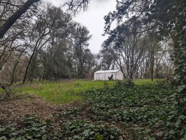 0 Millertown Road, Auburn, CA 95603