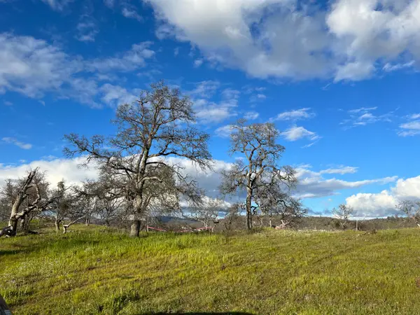 2211 Buena Vista Drive, La Grange, CA 95329