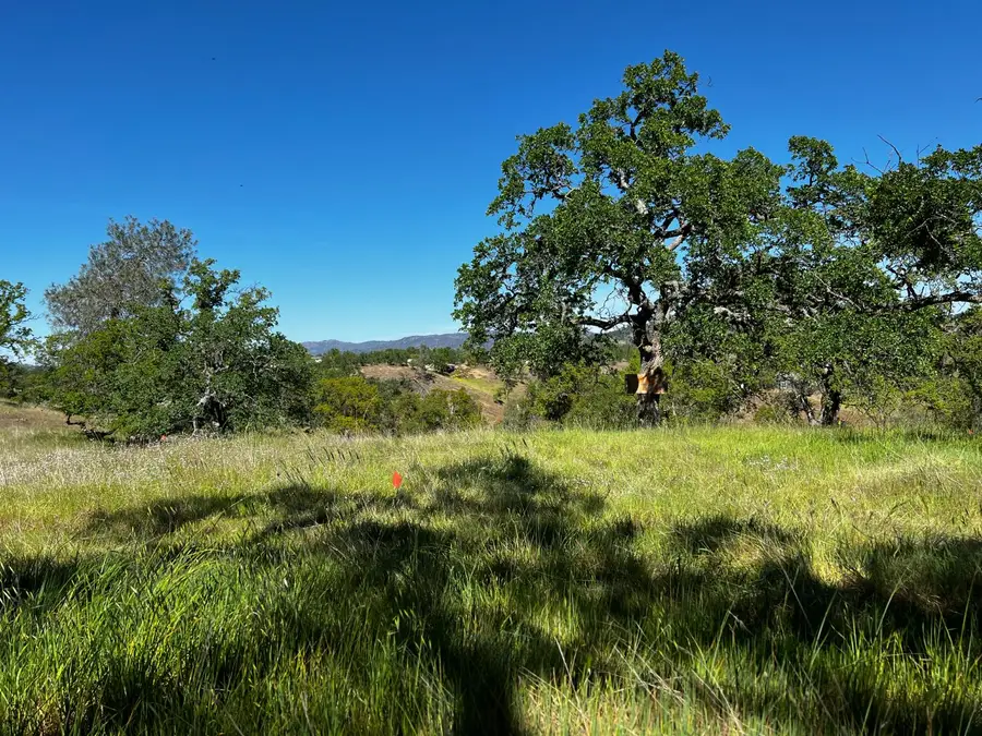 2211 Buena Vista Drive, La Grange, CA 95329 - Image #2