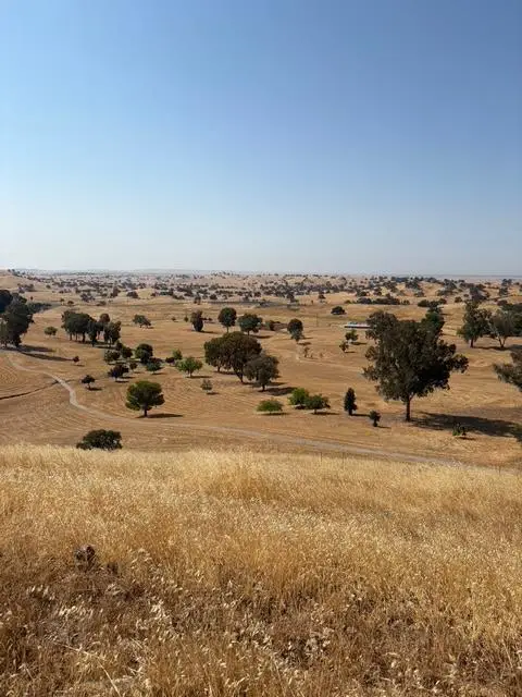 9769 Caracol Circle, La Grange, CA 95329 - Image #2